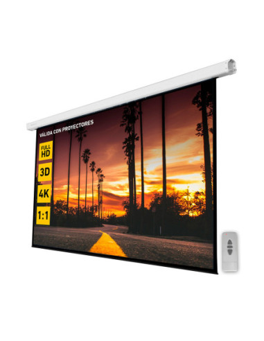 Pantalla electrica videoproyector pared y techo