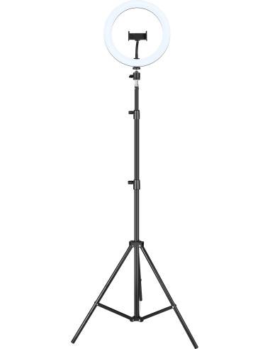 iggual Kit Aro luz LED 10" + Trípode 200 cm