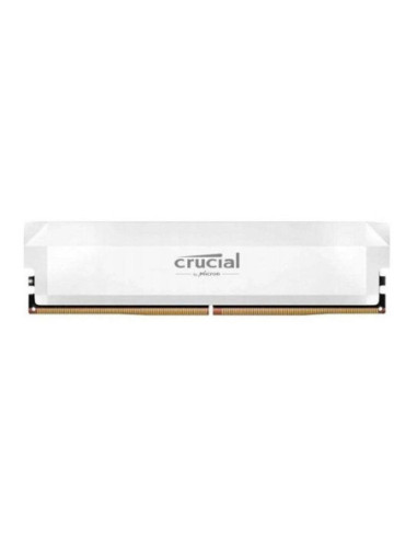 Memoria ram ddr5 16gb crucial pro