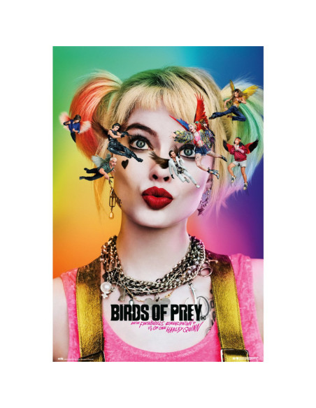 Poster birds of prey dazed and
