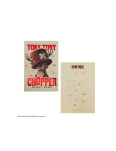 Libreta one piece netflix tony tony