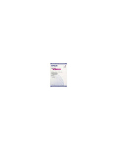 Papel epson especial hq a3 100