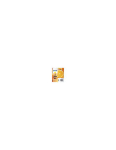 Cartucho tinta epson t336440 xl amarillo