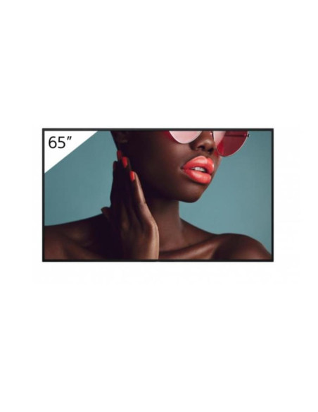 Monitor 65 pulgadas sony professional bravia 4k