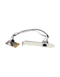 Tarjeta red startech st1000smpex rj45