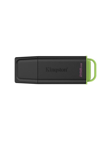 Memoria usb 3.2 kingston 256 gb