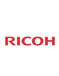 Cartucho ricoh garment cyan 257064 type