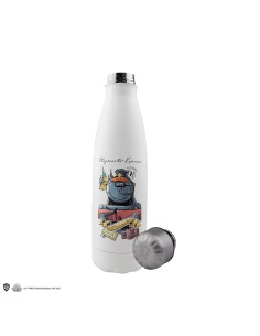 Botella cinereplicas harry potter viaje a