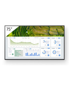 Monitor sony professional bravia 75 pulgadas 4k
