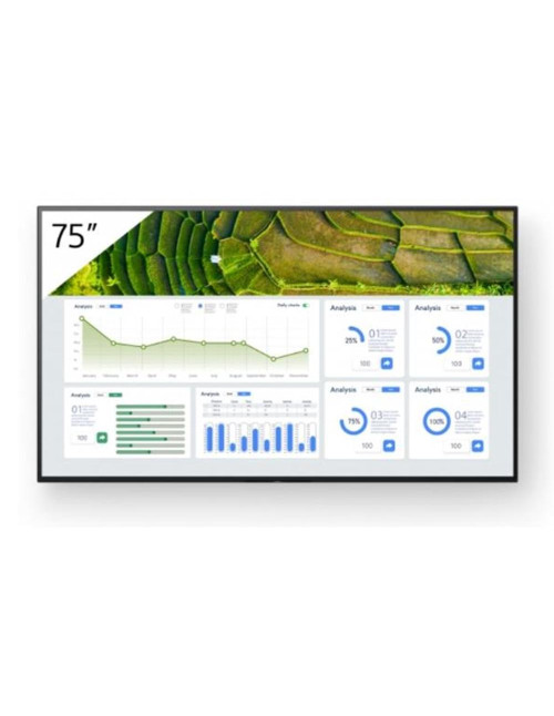 Monitor sony professional bravia 75 pulgadas 4k