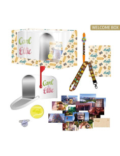 Set regalo coleccionista pixar up
