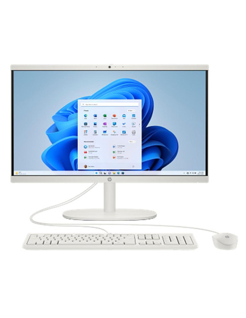 Ordenador all in one hp 22 - dg0041ns