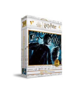 Puzzle 100 efecto 3d poster harry
