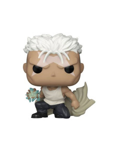 Funko pop fullmetal alchemist brotherhood scar