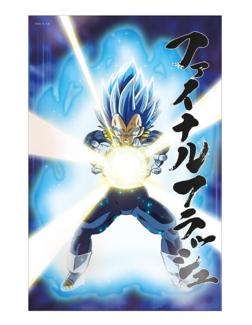 Poster 3d 58x38cm universe survival vegeta