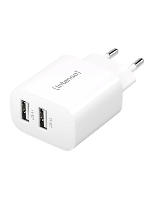 Cargador pared intenso w24aa 2x usb