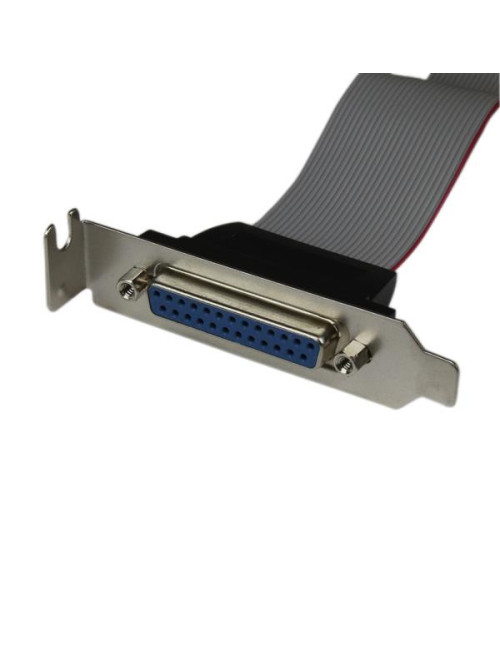 Adaptador paralelo db25 a idc26 startech