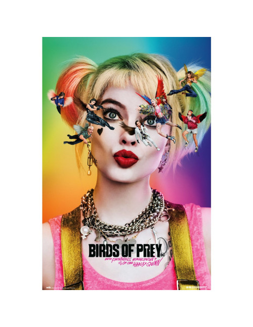 Poster birds of prey dazed and