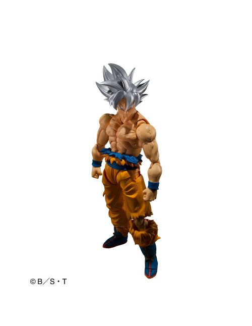 Figura tamashii nations sh figuarts dragon