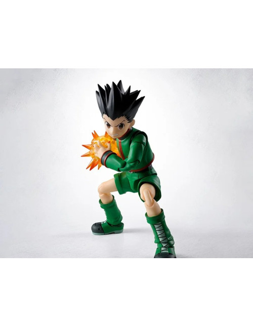 Figura tamashii nations hunter x hunter
