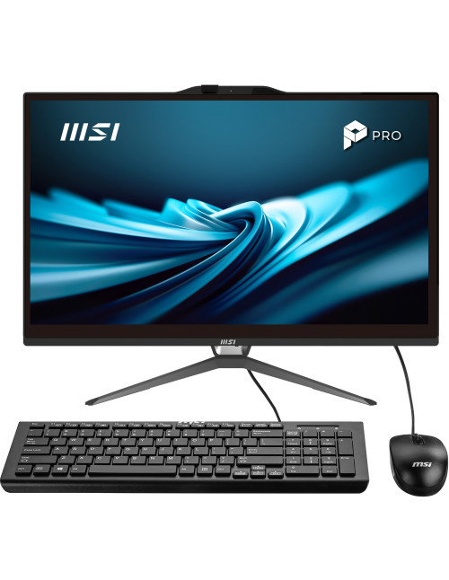 Ordenador all in one msi pro