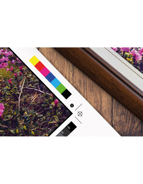 Plotter epson surecolor sc - p9500 std 2400