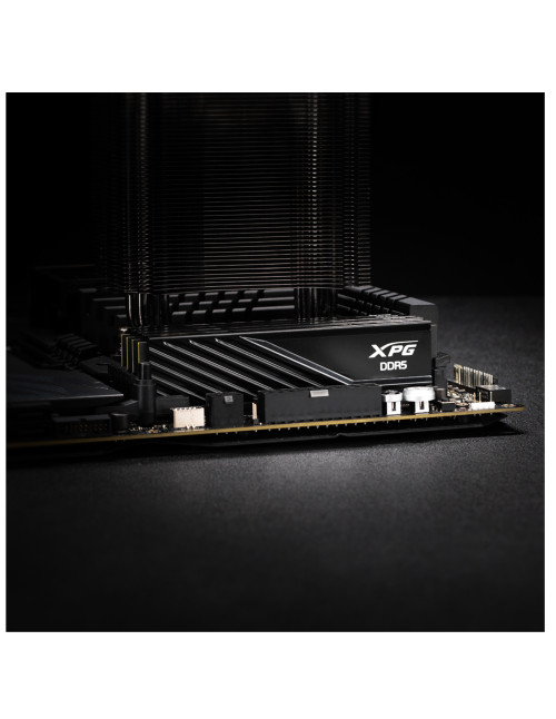 Memoria ram ddr5 32gb 2x16gb adata