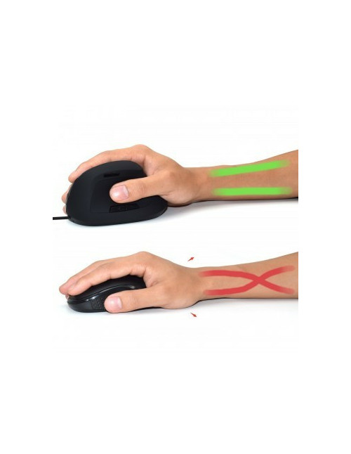 Mouse raton vertical ergonomico ewent ew3157