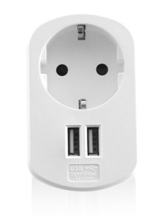 Cargador usb ewent 2 puertos 155w