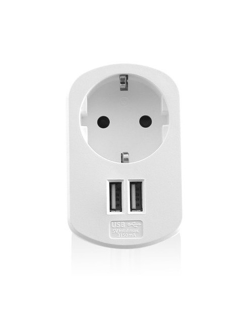 Cargador usb ewent 2 puertos 155w