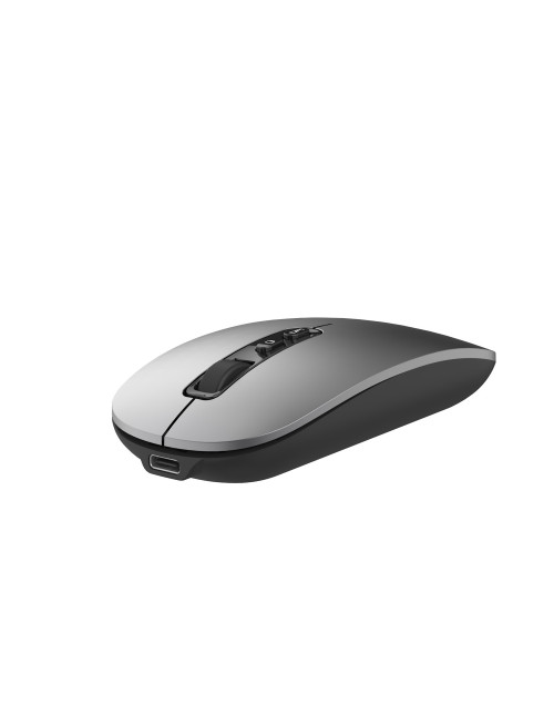 Raton inalambrico ewent ew3207 gris