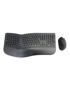Kit teclado + mouse raton conceptronic