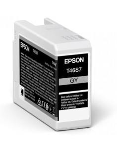 Epson singlepack gray t46s7 ultrachrome pro