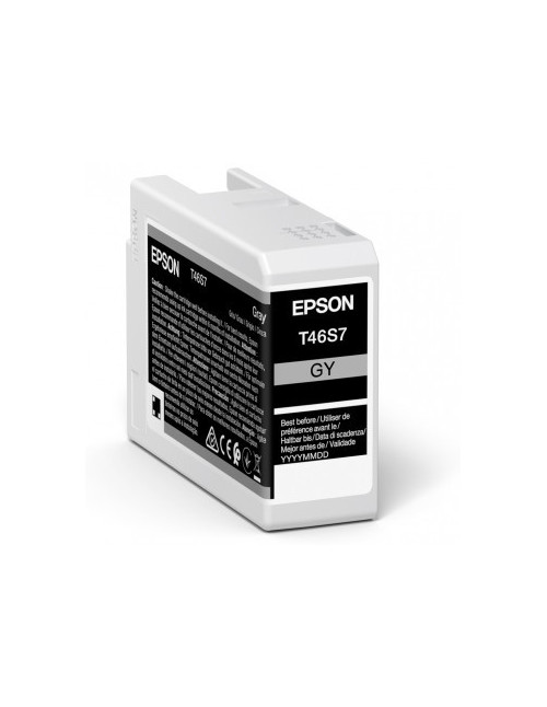 Epson singlepack gray t46s7 ultrachrome pro