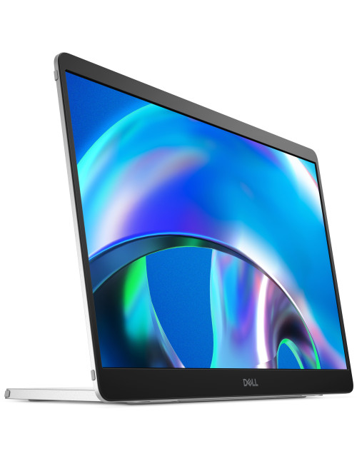 Monitor dell pro pls p1425 portable