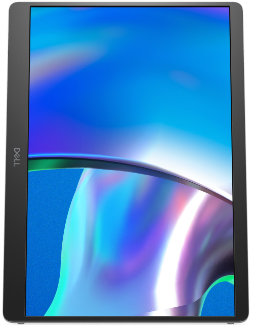 Monitor dell pro pls p1425 portable