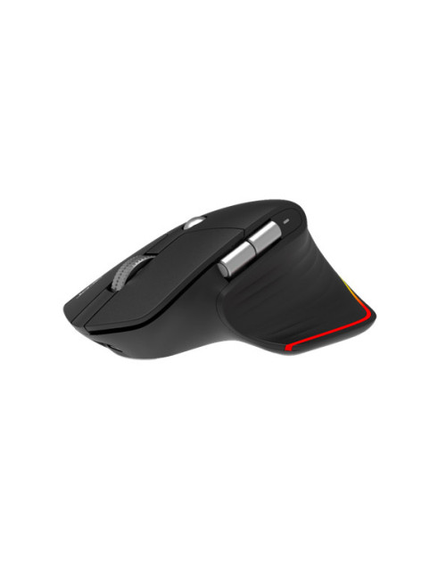 Raton acer easy fit negro
