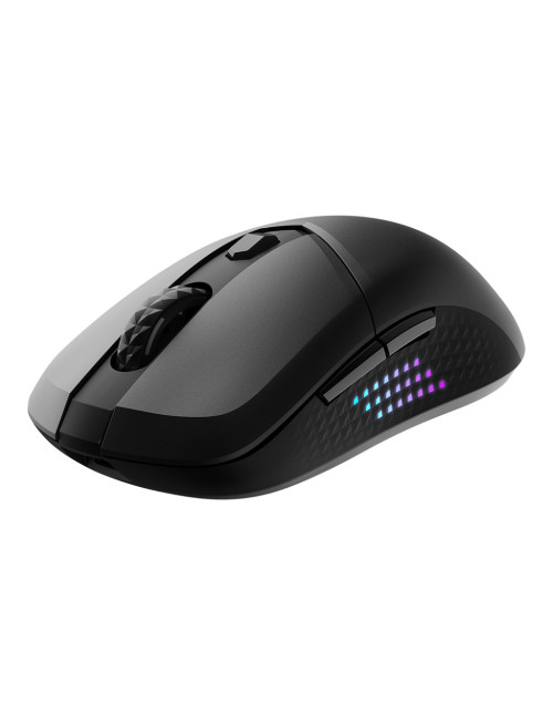 Raton gaming msi versa 300 elite