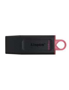 Memoria usb 3.2 kingston 256 gb