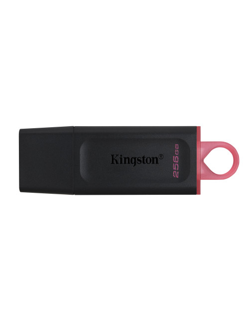 Memoria usb 3.2 kingston 256 gb