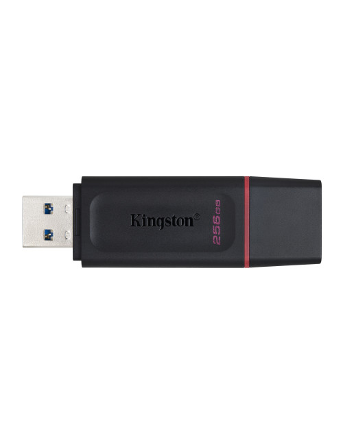 Memoria usb 3.2 kingston 256 gb
