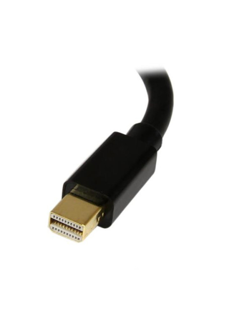 Adaptador mini displayport a displayport startech.com