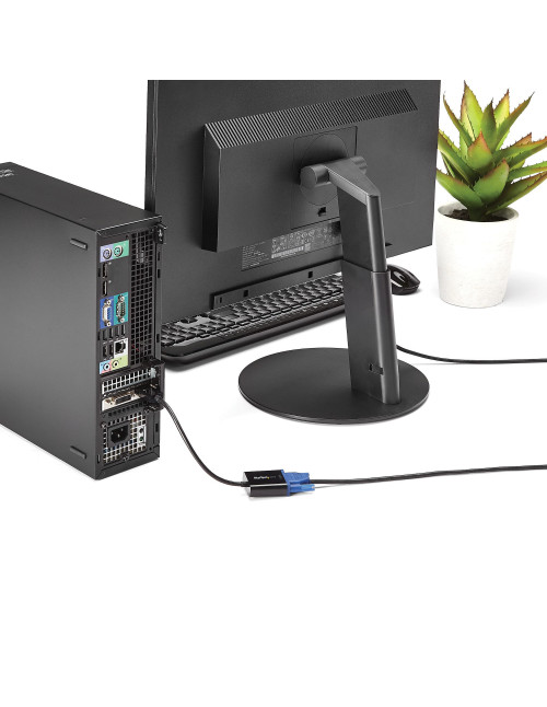 Cable displayport a vga startech 10cm