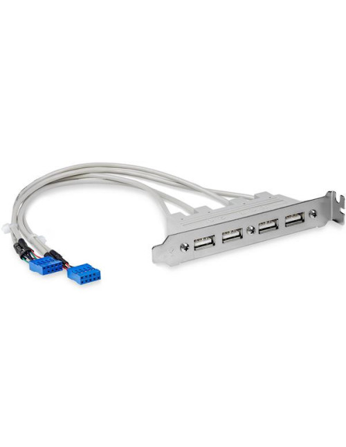 Cabezal bracket startech 4x usb 2.0