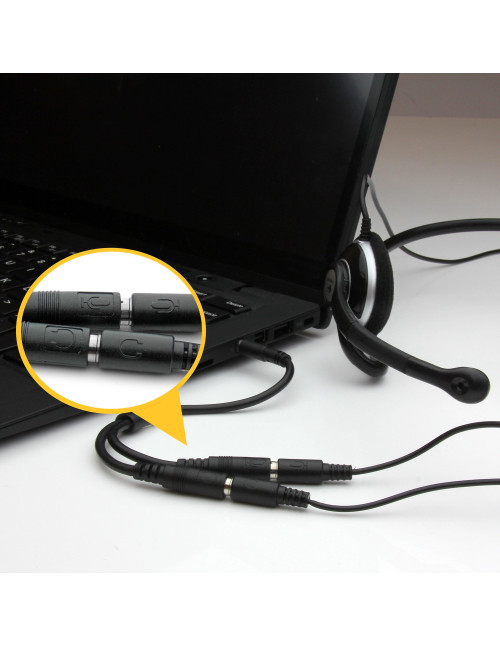Cable mini jack 3.5mm startech 0.2m
