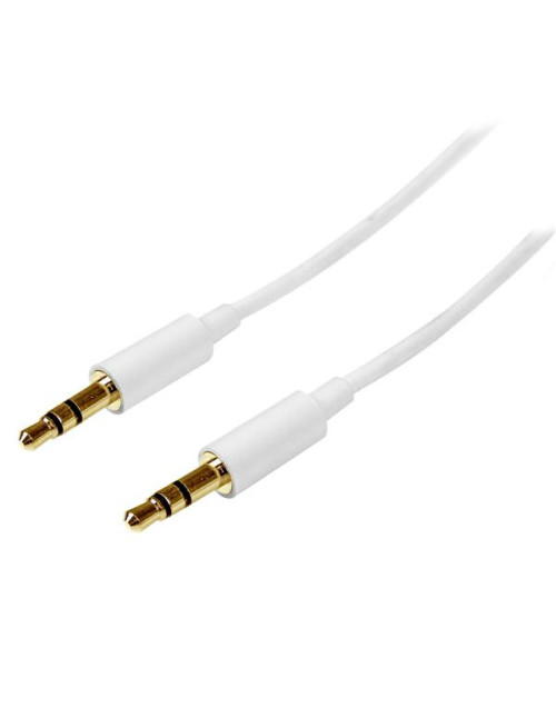 Cable mini jack 3.5mm startech 2m
