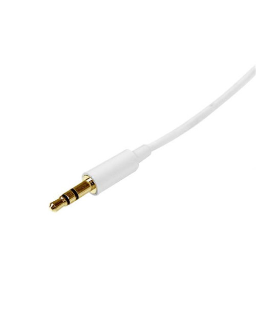 Cable mini jack 3.5mm startech 2m