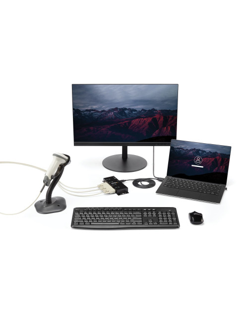 Hub startech 4 en 1