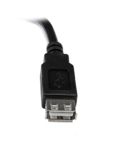 Cable usb tipo a startech 0.15m