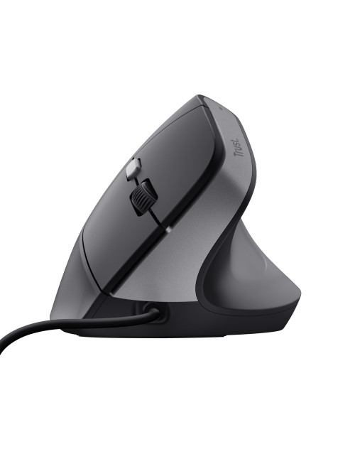 Raton trust bayo ii negro